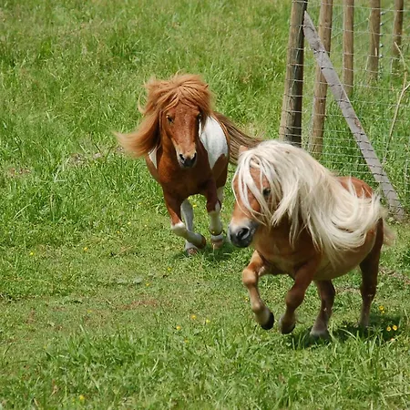 Lägenhet Vogtmuehle *