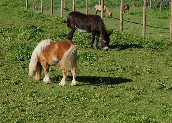 Vogtmuehle * Roggenburg